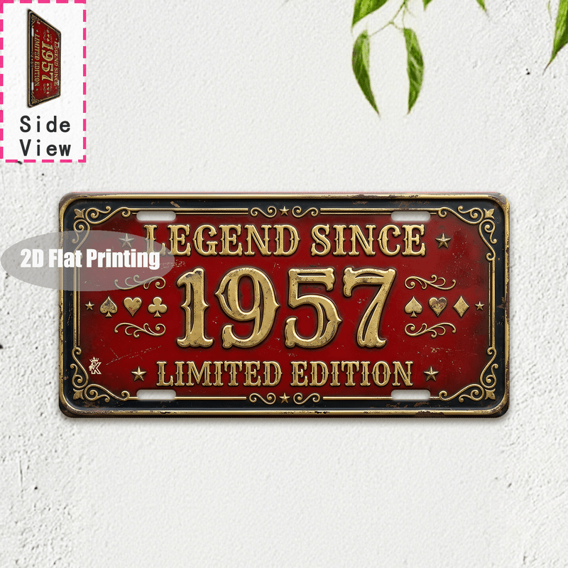 Plaque de voiture vintage en m - Home Decor Location avis et prix